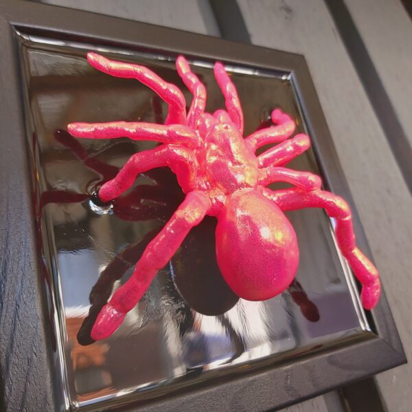 Tarantula - Image 6