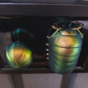 Isopods