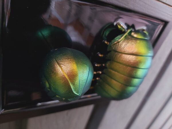Isopods - Image 4