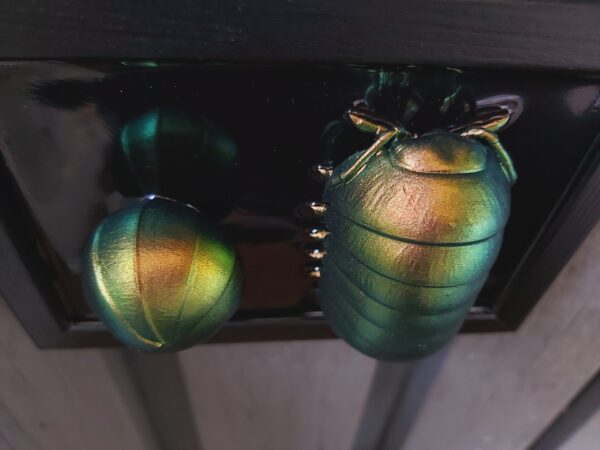 Isopods - Image 6