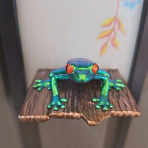 Red-eyed tree frog on shelf (small)