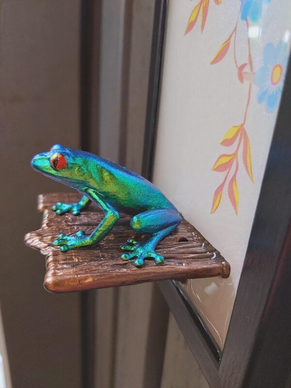 Red-eyed tree frog on shelf (small) - Image 7