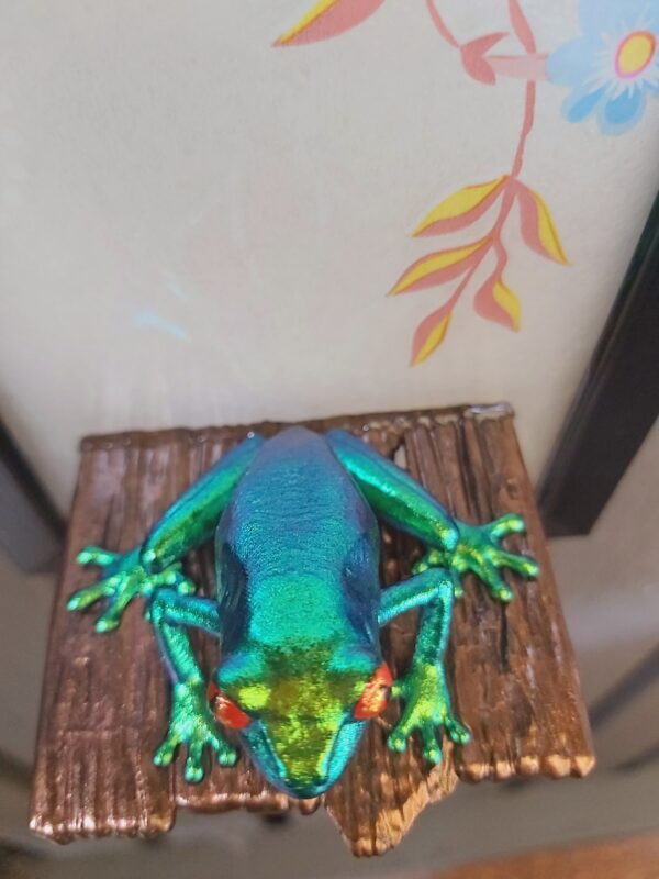 Red-eyed tree frog on shelf (small) - Image 3