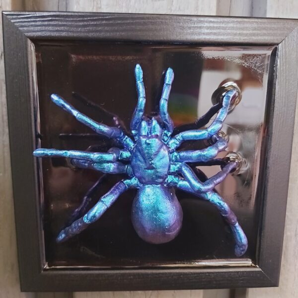 Tarantula