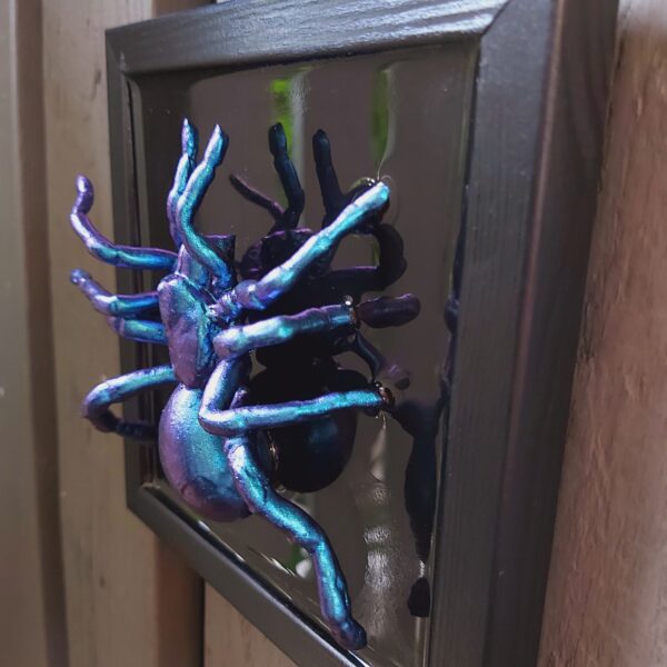 Tarantula - Image 3