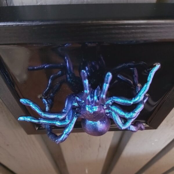Tarantula - Image 4