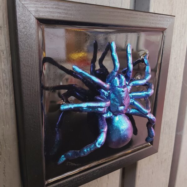 Tarantula - Image 5