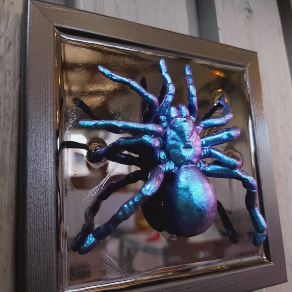 Tarantula - Image 2