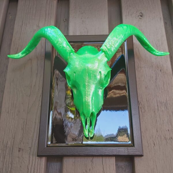 Goat Skull - Image 6