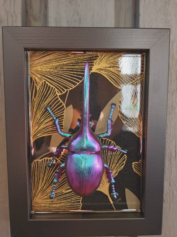 Hercules Beetle - Image 2
