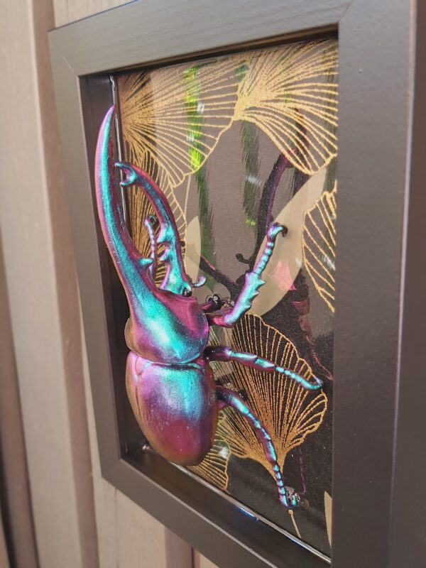 Hercules Beetle - Image 3