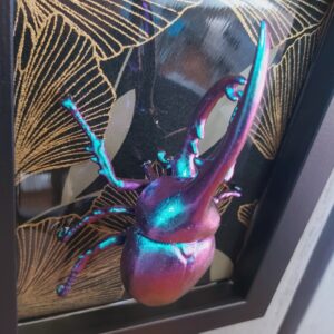 Hercules Beetle
