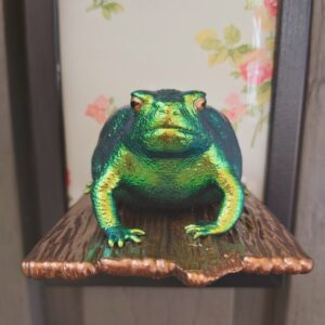 Rain frog on shelf