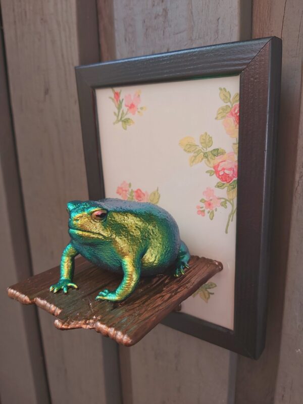 Rain frog on shelf - Image 2