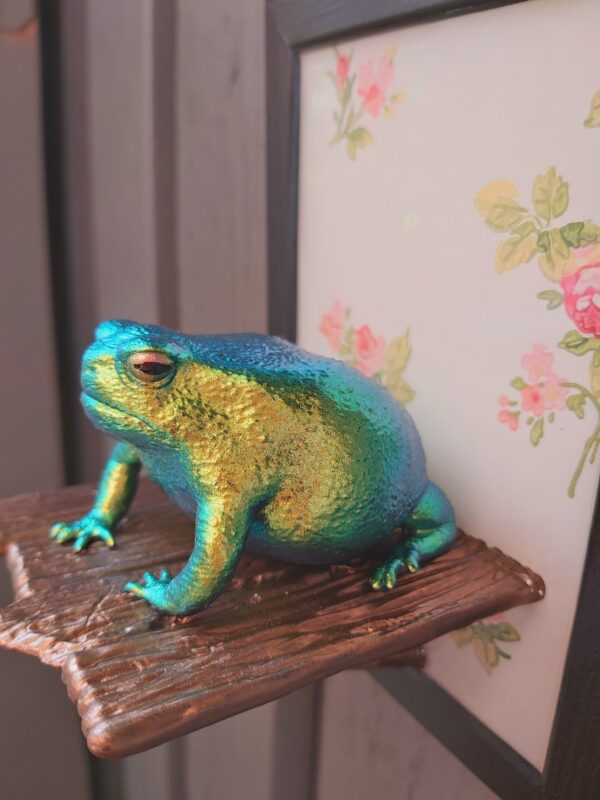 Rain frog on shelf - Image 3