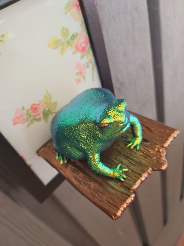 Rain frog on shelf - Image 4