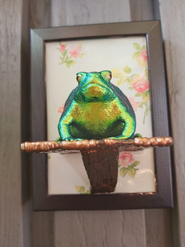 Rain frog on shelf - Image 5