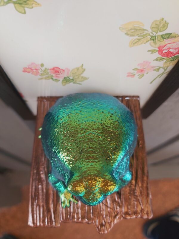 Rain frog on shelf - Image 6