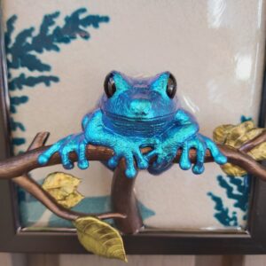 Maroon-eyed frog facing out