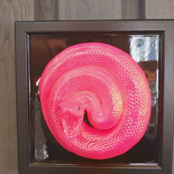 Coiled Cottonmouth - Image 5