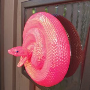 Coiled Cottonmouth