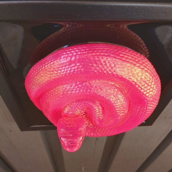 Coiled Cottonmouth - Image 2