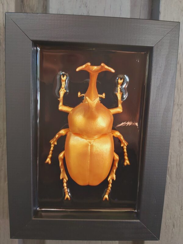 Japanese Rhinoceros Beetle - Image 4