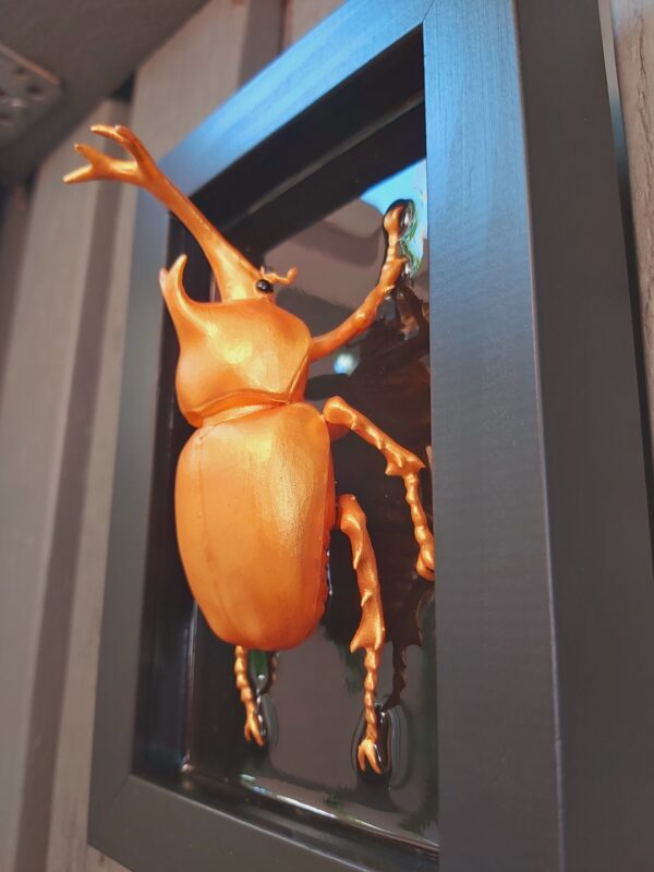Japanese Rhinoceros Beetle - Image 6