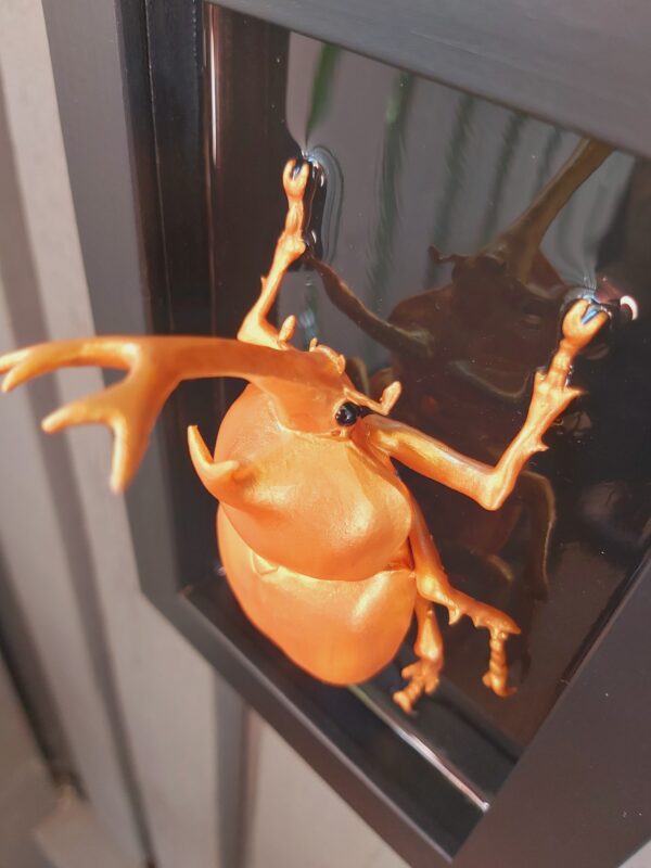 Japanese Rhinoceros Beetle - Image 7