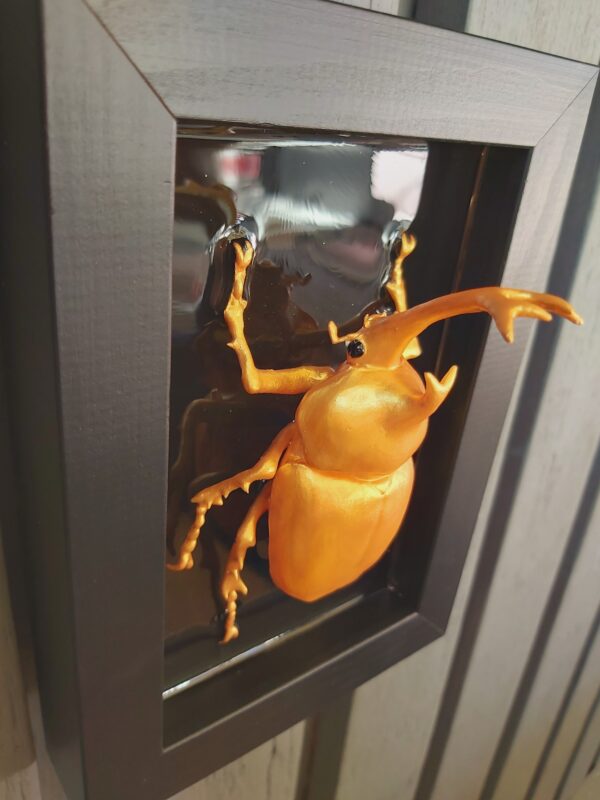 Japanese Rhinoceros Beetle - Image 8