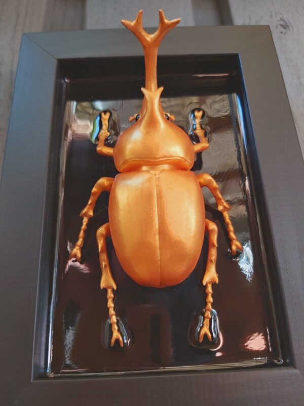Japanese Rhinoceros Beetle - Image 3