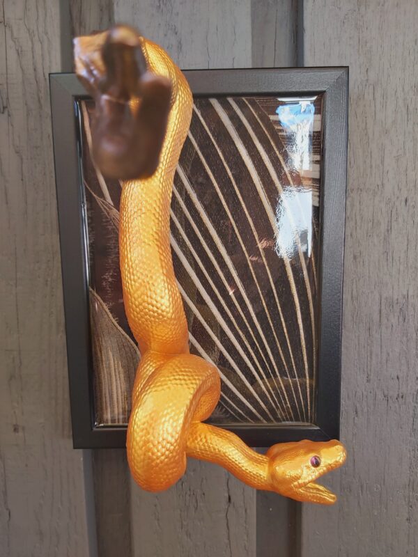 Green Tree Python Facing Sideways - Image 3