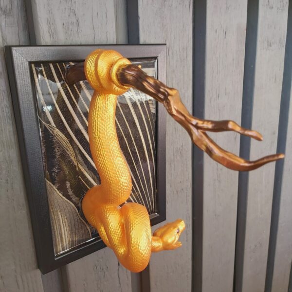 Green Tree Python Facing Sideways - Image 5