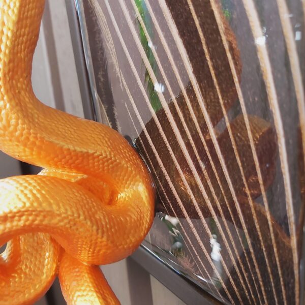 Green Tree Python Facing Sideways - Image 8