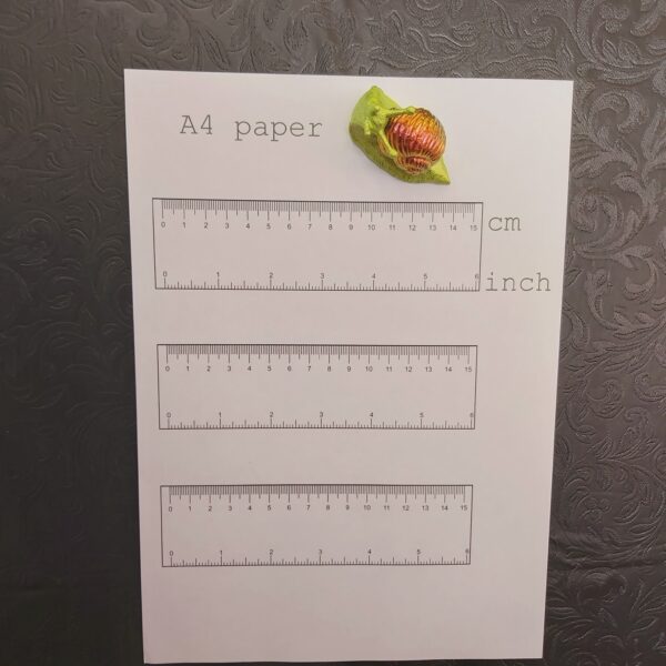 Snail Magnet (small) - Image 3