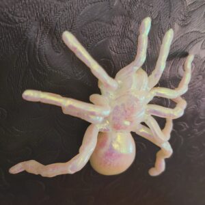 Tarantula Magnet