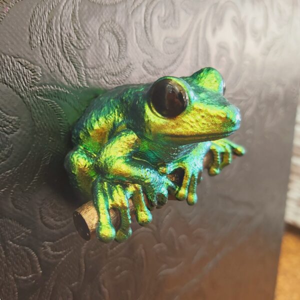 Maroon Eyed Frog Magnet - Image 4