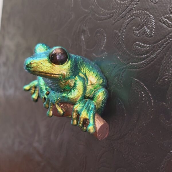 Maroon Eyed Frog Magnet - Image 5