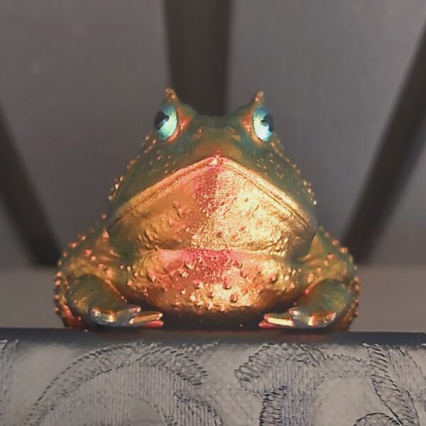 Slingshot Frog Magnet - Image 8