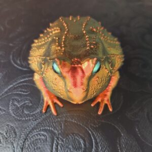 Slingshot Frog Magnet