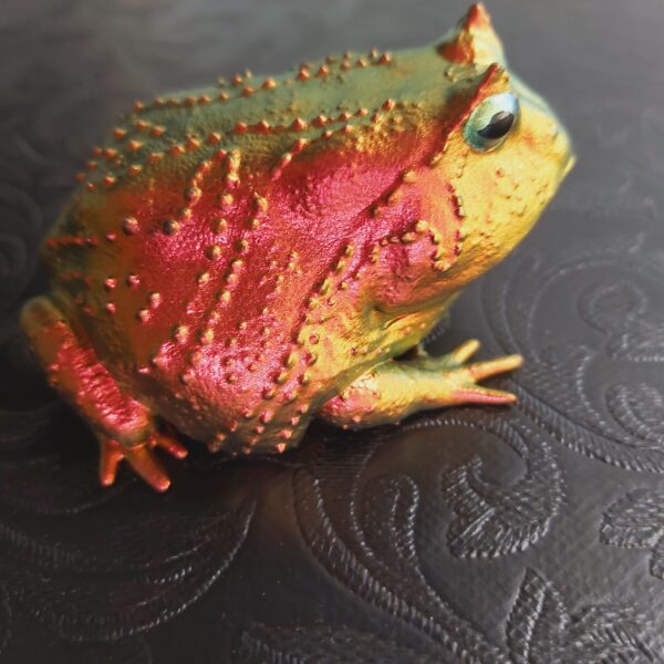 Slingshot Frog Magnet - Image 5