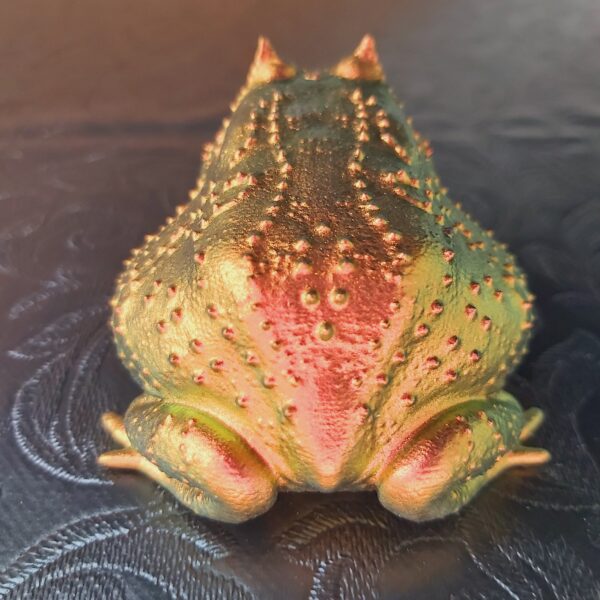 Slingshot Frog Magnet - Image 6