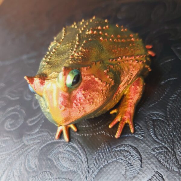 Slingshot Frog Magnet - Image 7