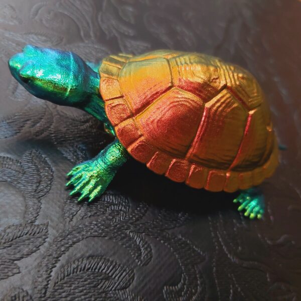 Red-Eared Slider Turtle Magnet (medium) - Image 7