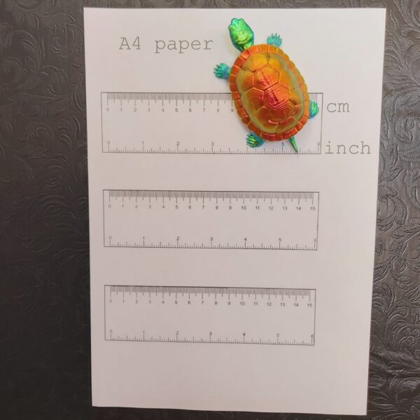 Red-Eared Slider Turtle Magnet (medium) - Image 5