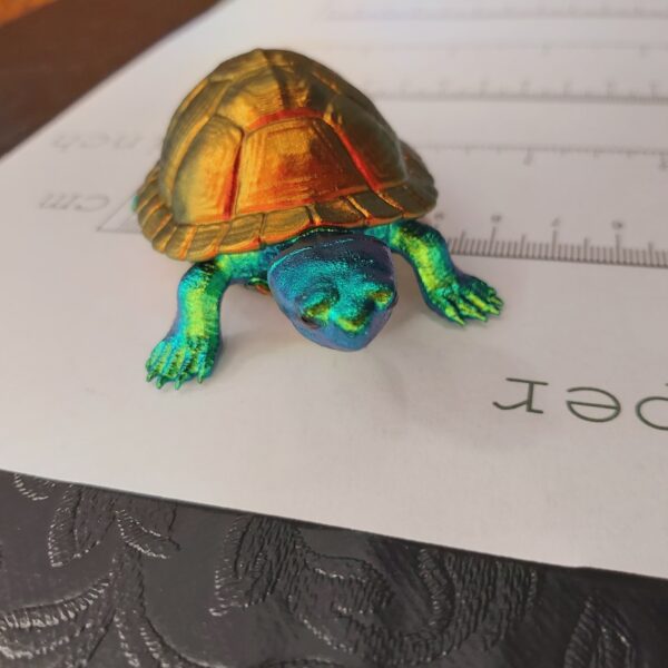 Red-Eared Slider Turtle Magnet (medium) - Image 6