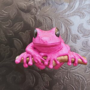 Maroon Eyed Frog Magnet