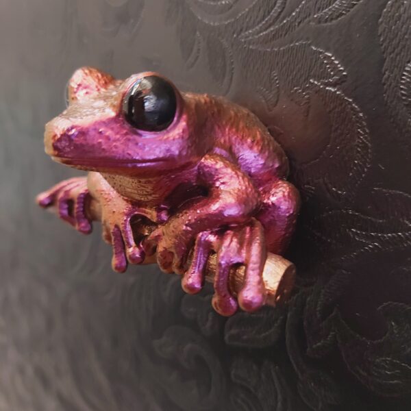 Maroon Eyed Frog Magnet - Image 3