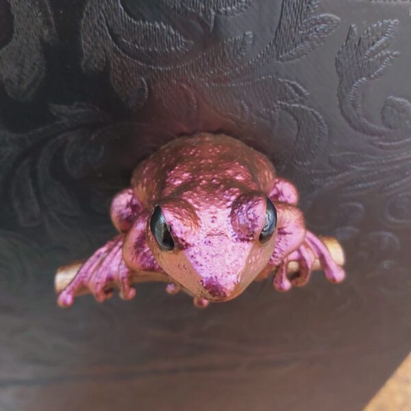 Maroon Eyed Frog Magnet - Image 4