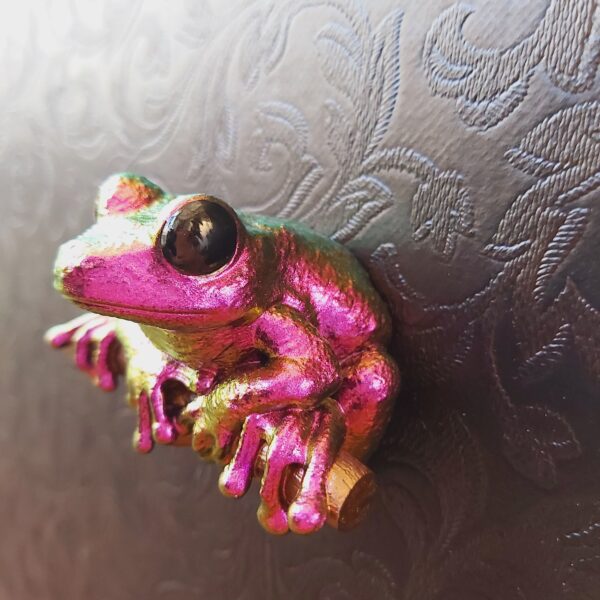 Maroon Eyed Frog Magnet - Image 5